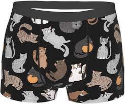 cat underwear
